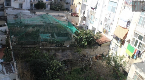 Giardini, pozzi e voliere: tra i palazzi di Madonnella c'� una "campagna" nascosta